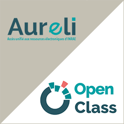 Open Class Aureli