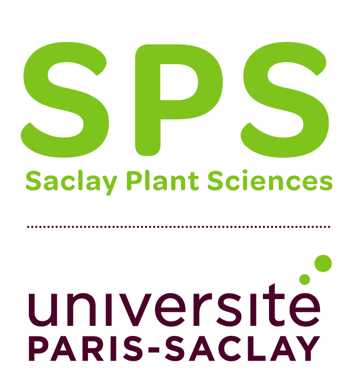 logo Paris-Saclay