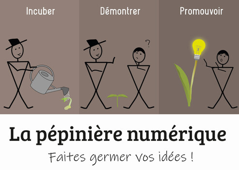 Péppinière numérique 1