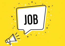 Actu DipSO recrute