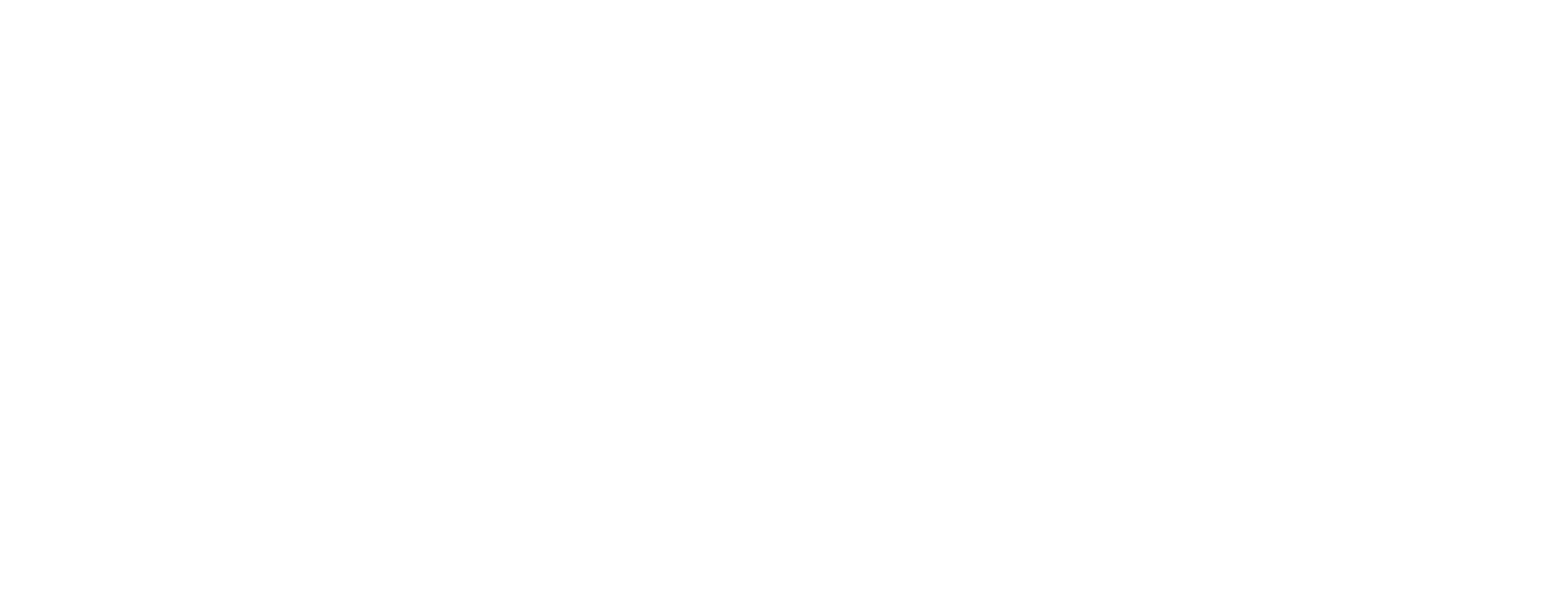 Logo DipSO