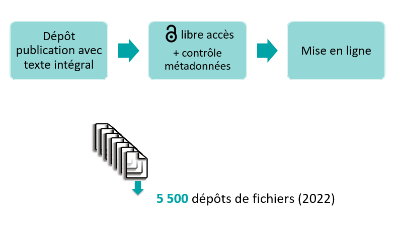 5500 dépôts de ficiers en 2022