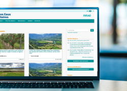 Site internet revue Sciences Eaux & Territoires